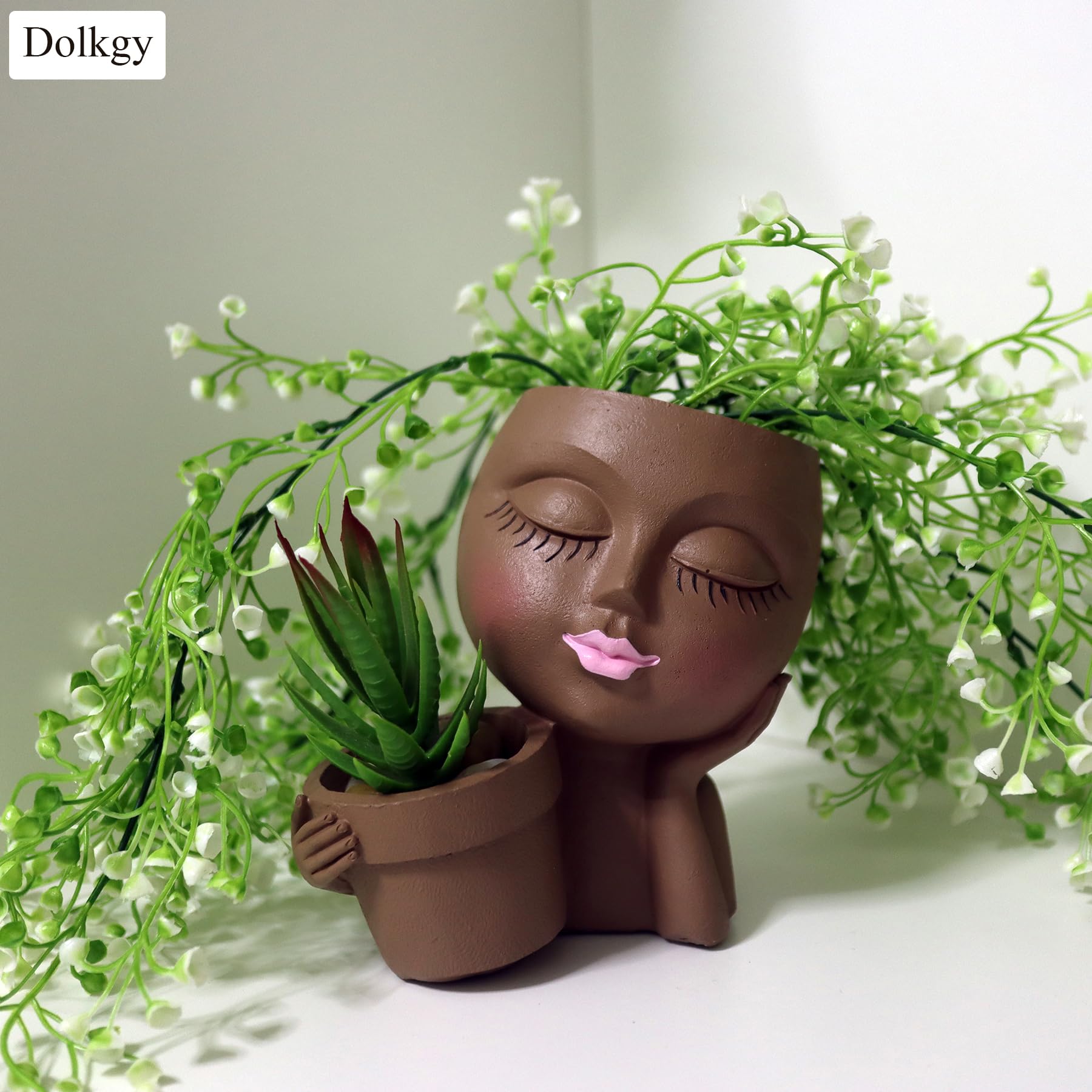 Dolkgy Face Flower Pot Dual Planter—perfect indoors for succulents and herbs.
