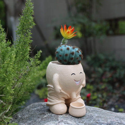 Dolkgy face planter shows drainage tray for mess-free watering.