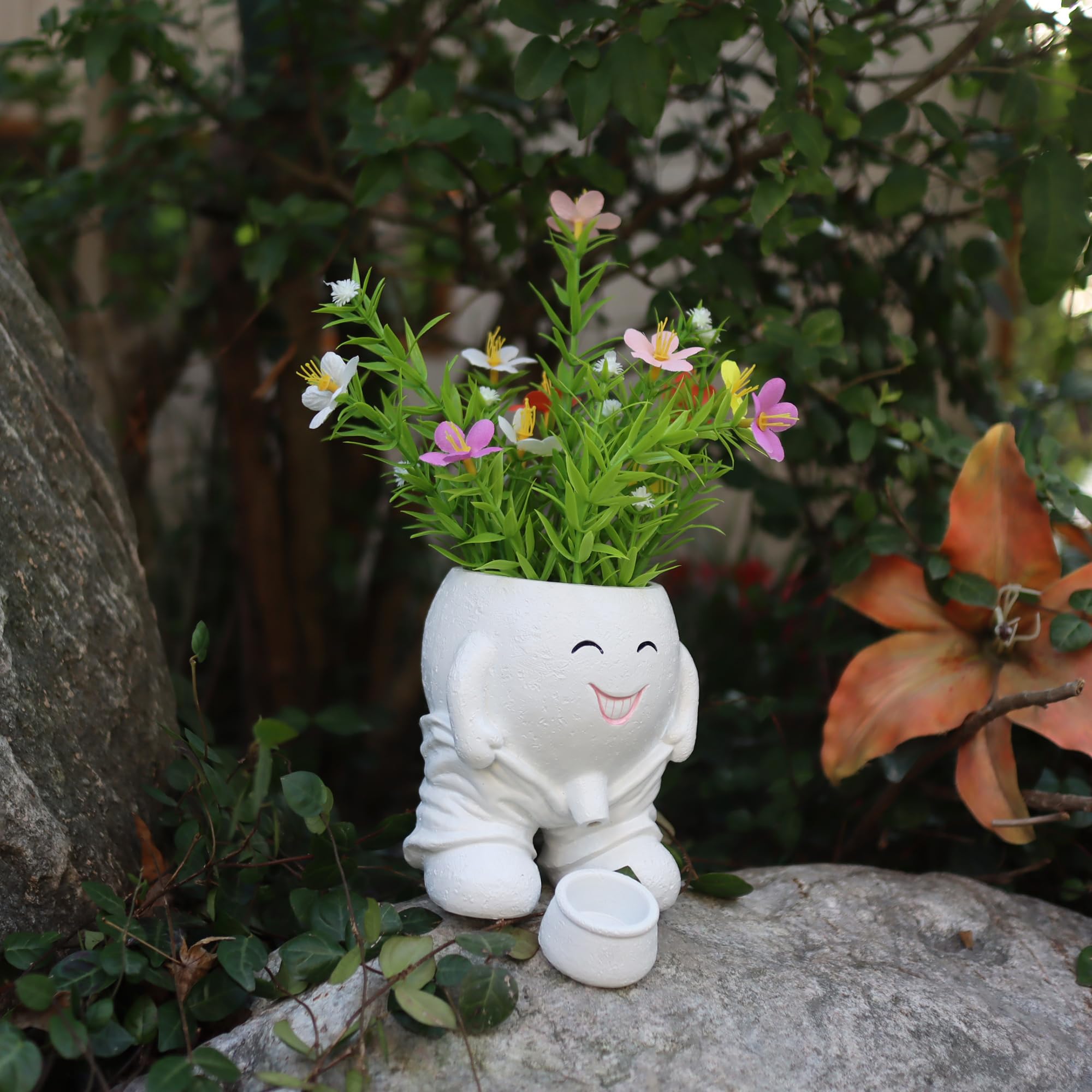 Dolkgy plant pot idea for birthdays housewarmings or office decor