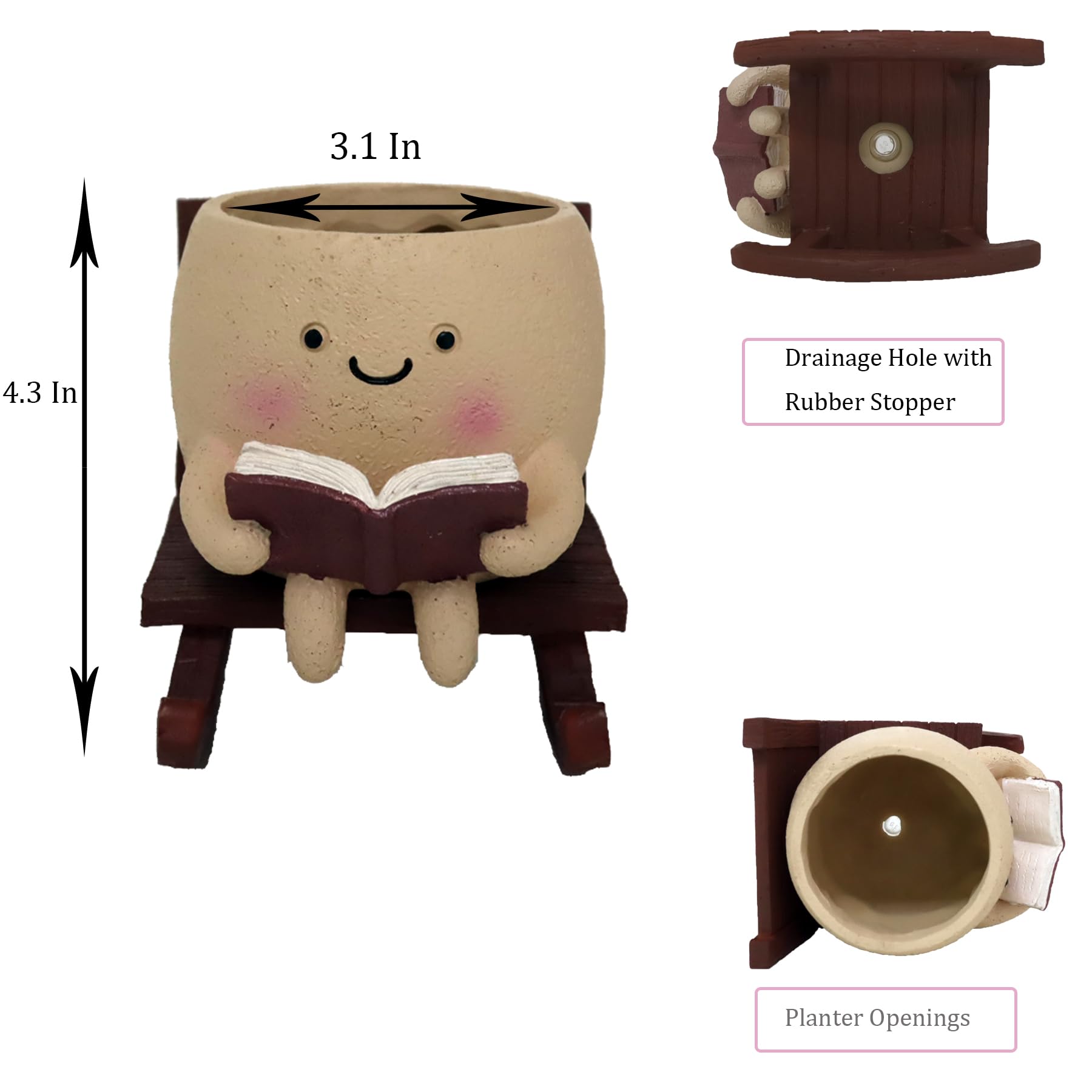 Dolkgy unique gift idea for plant lovers and collectors.