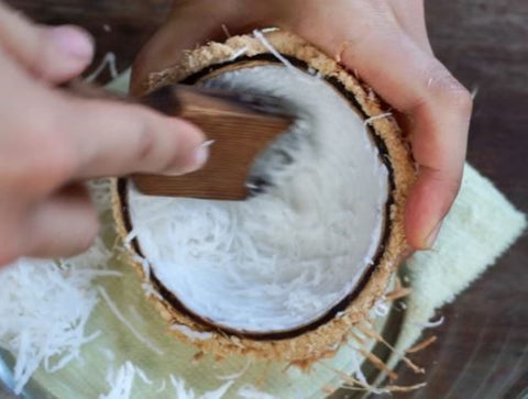 Dolphin Shop coconut grater portable design for indoor or outdoor use