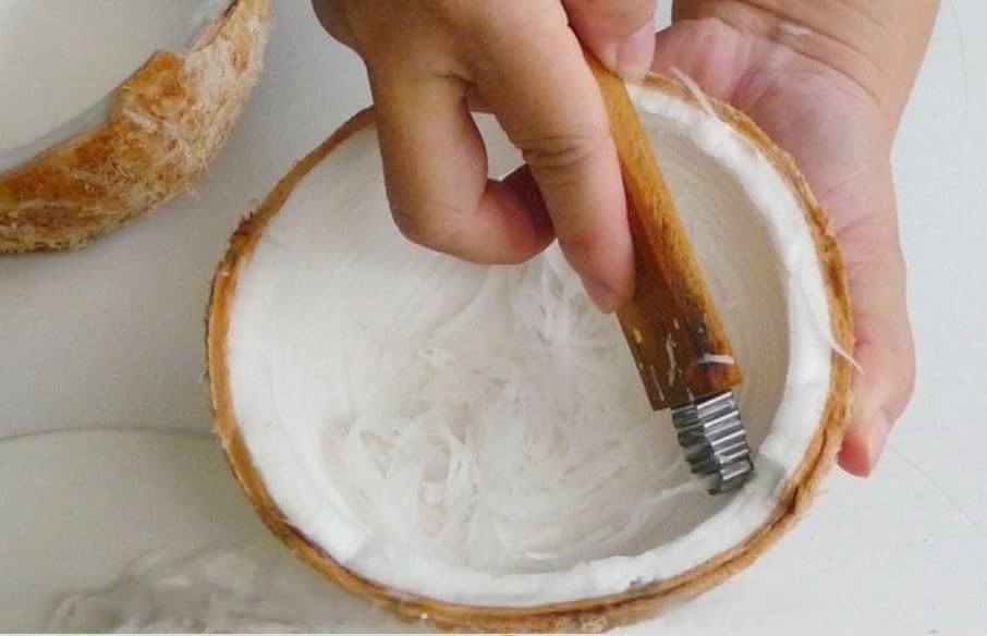 Dolphin Shop coconut grater wooden body with rustic charm