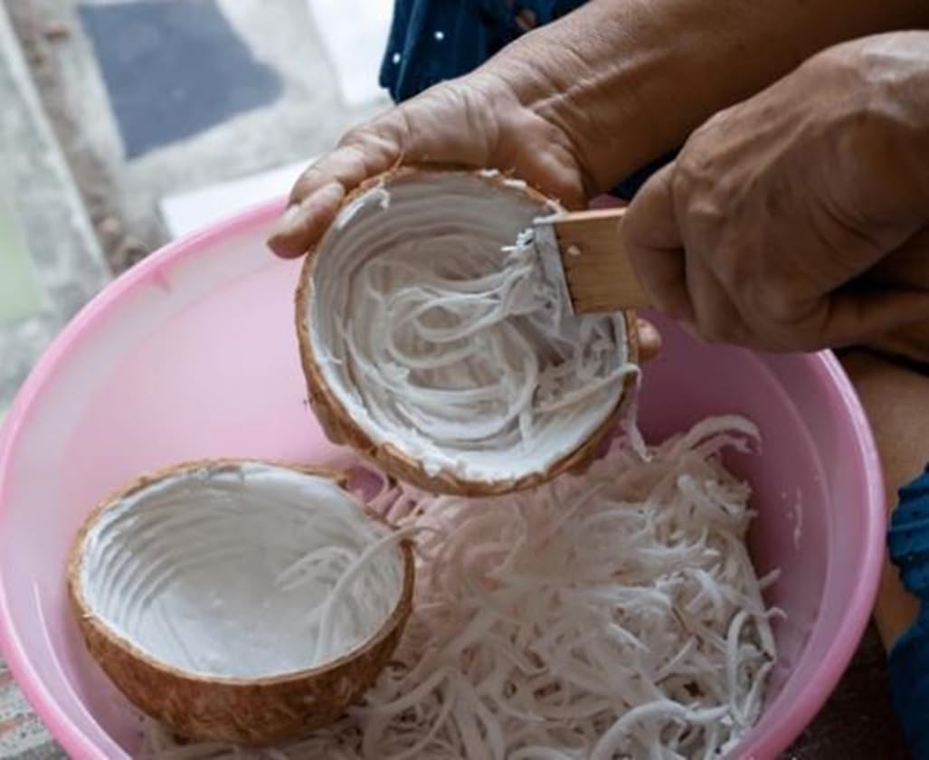 Dolphin Shop coconut meat shredded ready for recipes