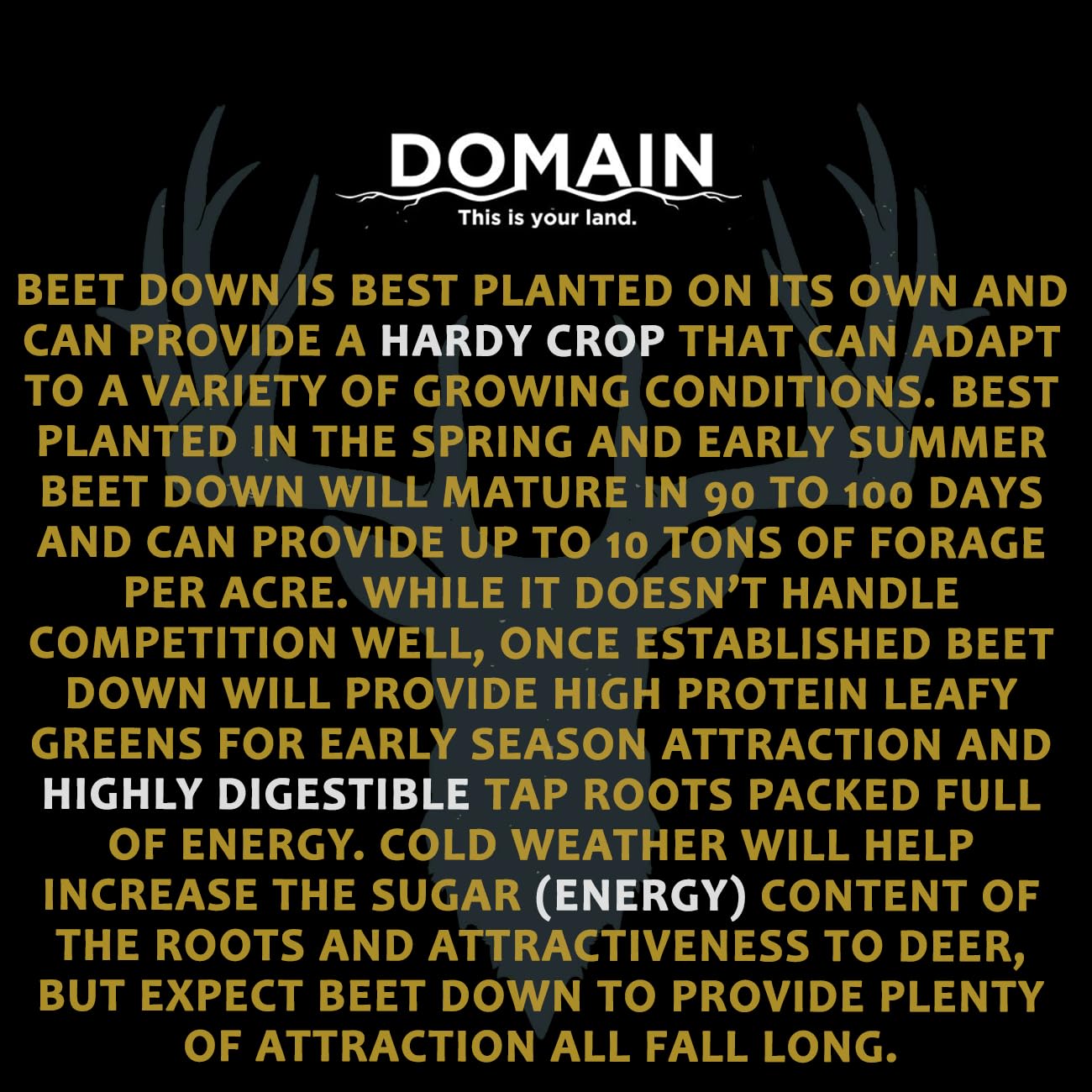 Beet Down attracts deer in late season.