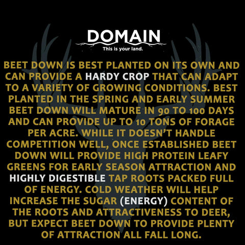 Beet Down attracts deer in late season.