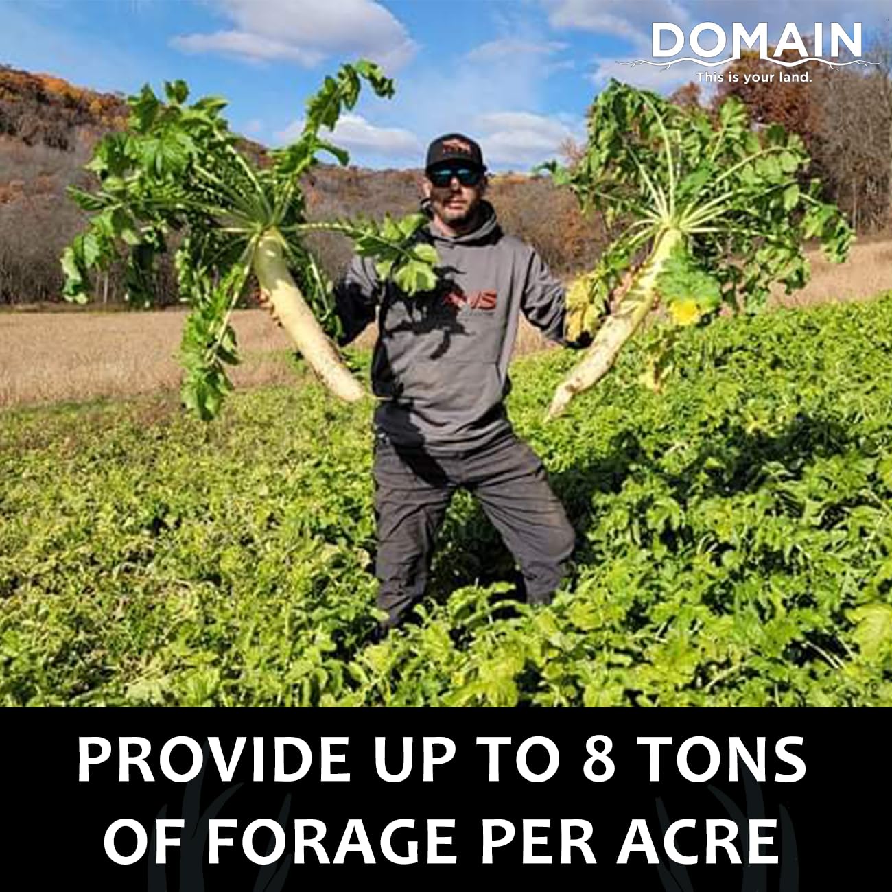 Domain Outdoor Illicit Food Plot Seed spring-summer-fall leaves highlighting abundant leafy greens for forage.