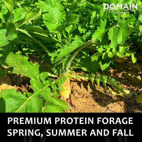 Domain Outdoor Illicit Food Plot Seed tap-root emphasizes energy-rich roots after frost.