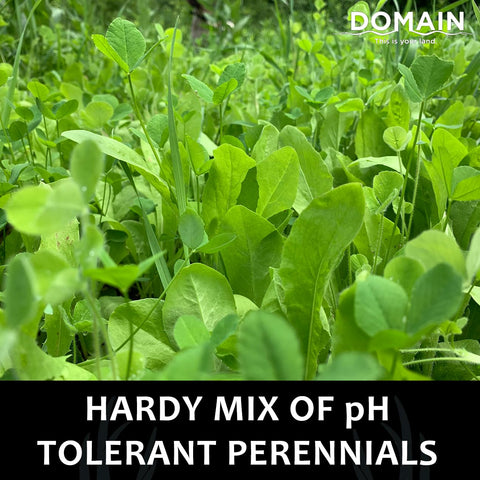 Domain Outdoor PH-tolerant perennials thrive in acidic soils.