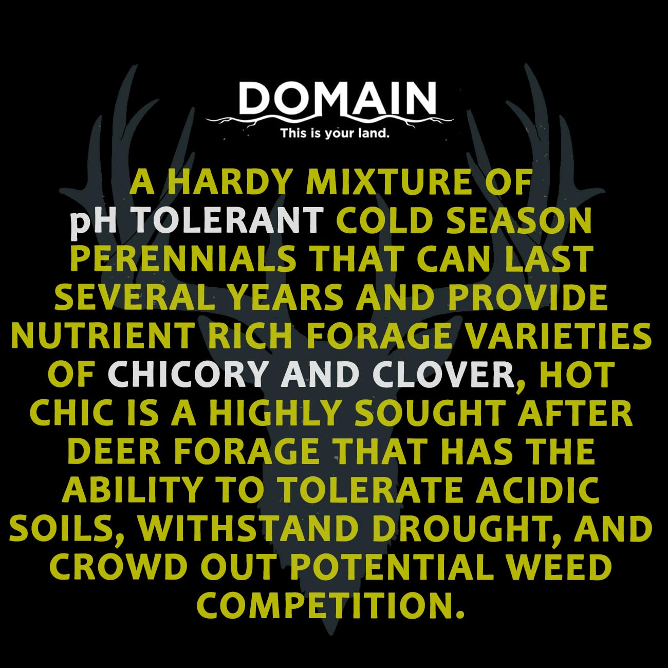Domain Outdoor half-acre coverage per 3 lb jug offers clear value.
