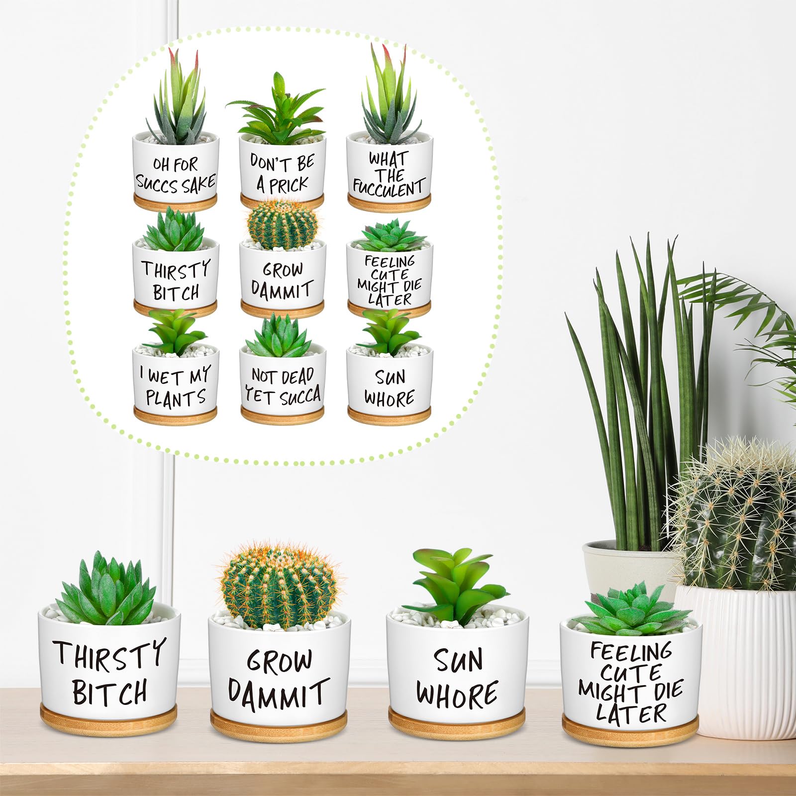 Domensi durable ceramic material provides long-lasting plant home