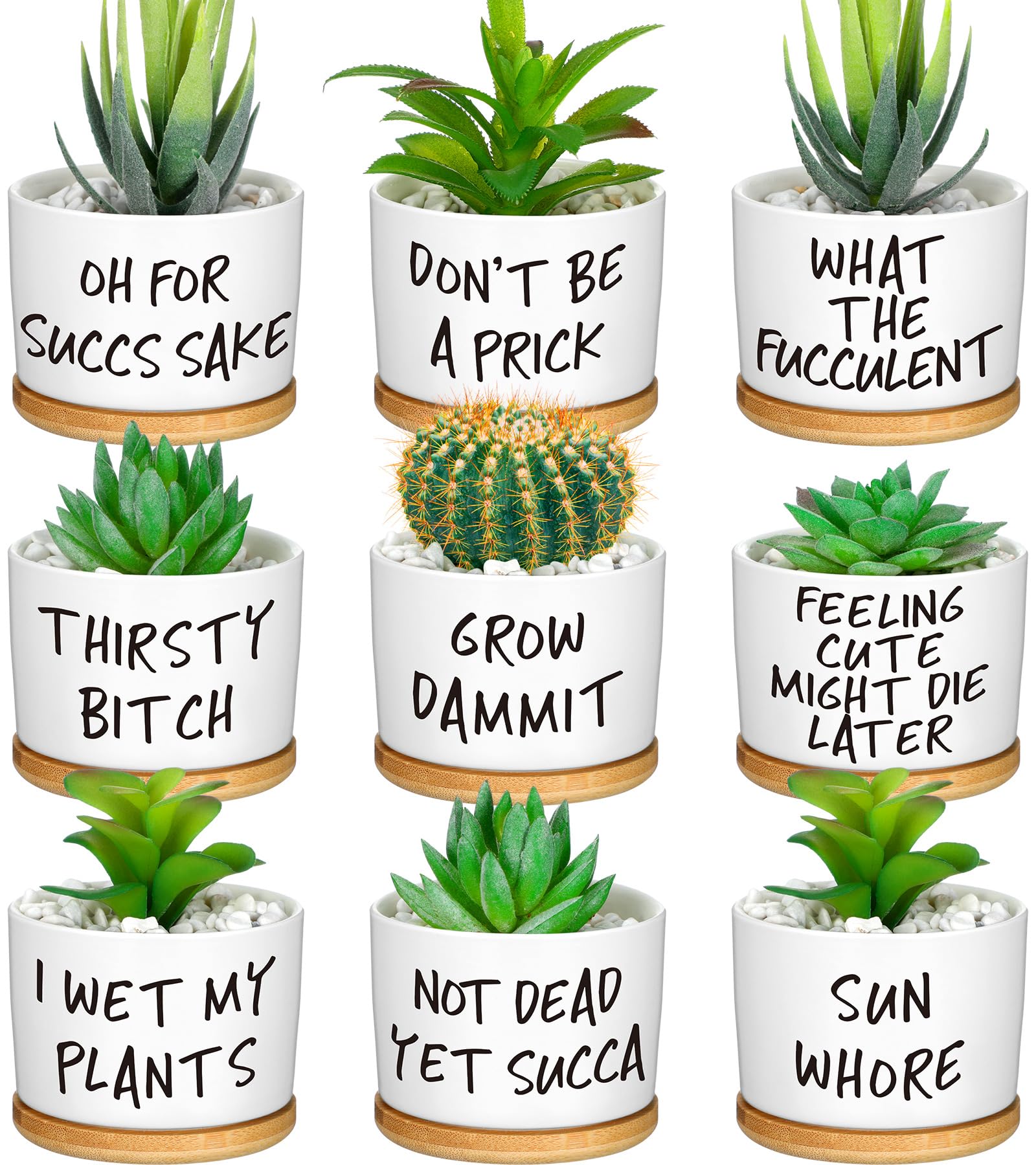 Domensi funny succulent pots ceramic set for stylish desk decor