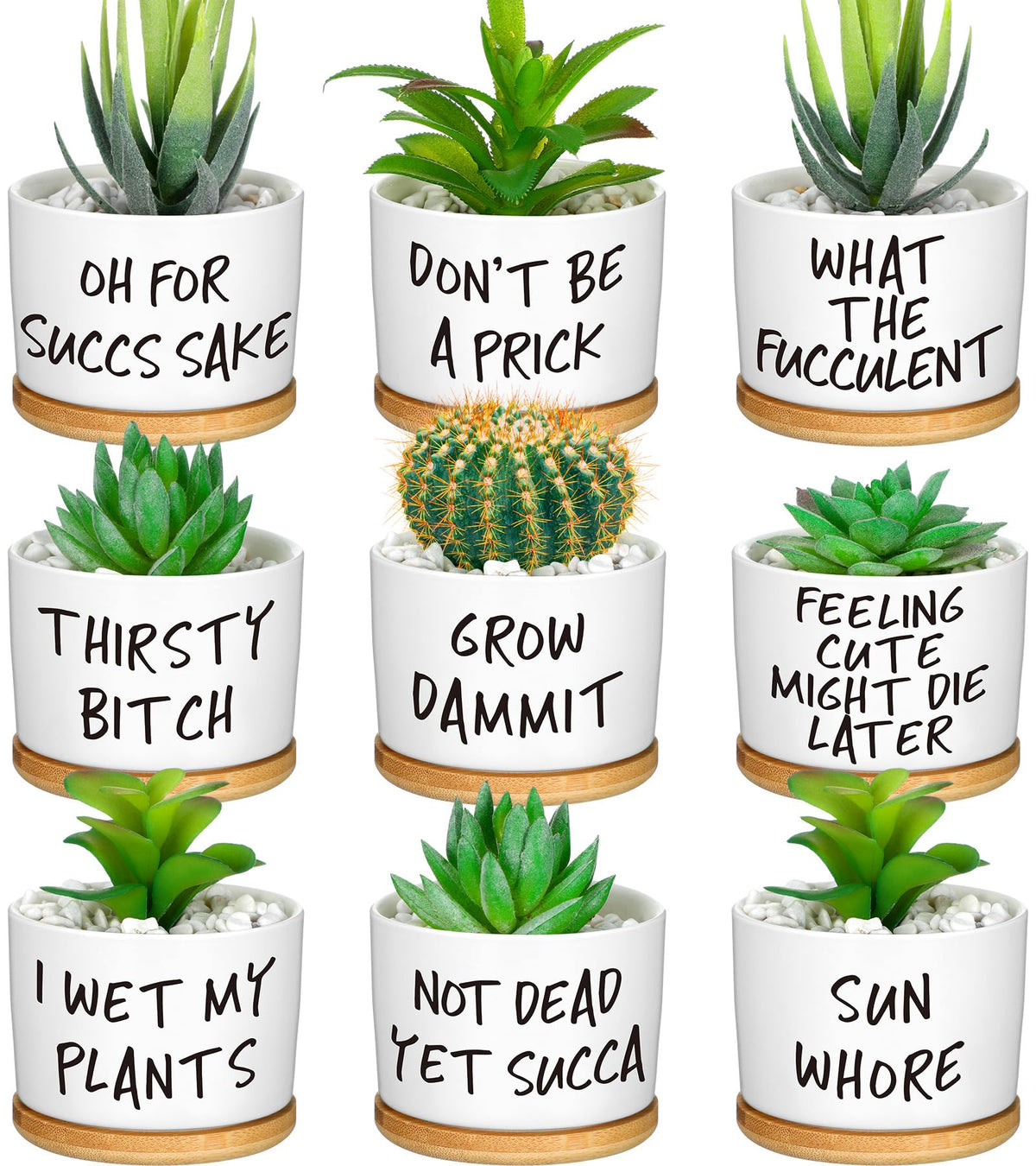 Domensi funny succulent pots ceramic set for stylish desk decor