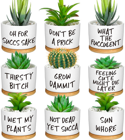 Domensi funny succulent pots ceramic set for stylish desk decor