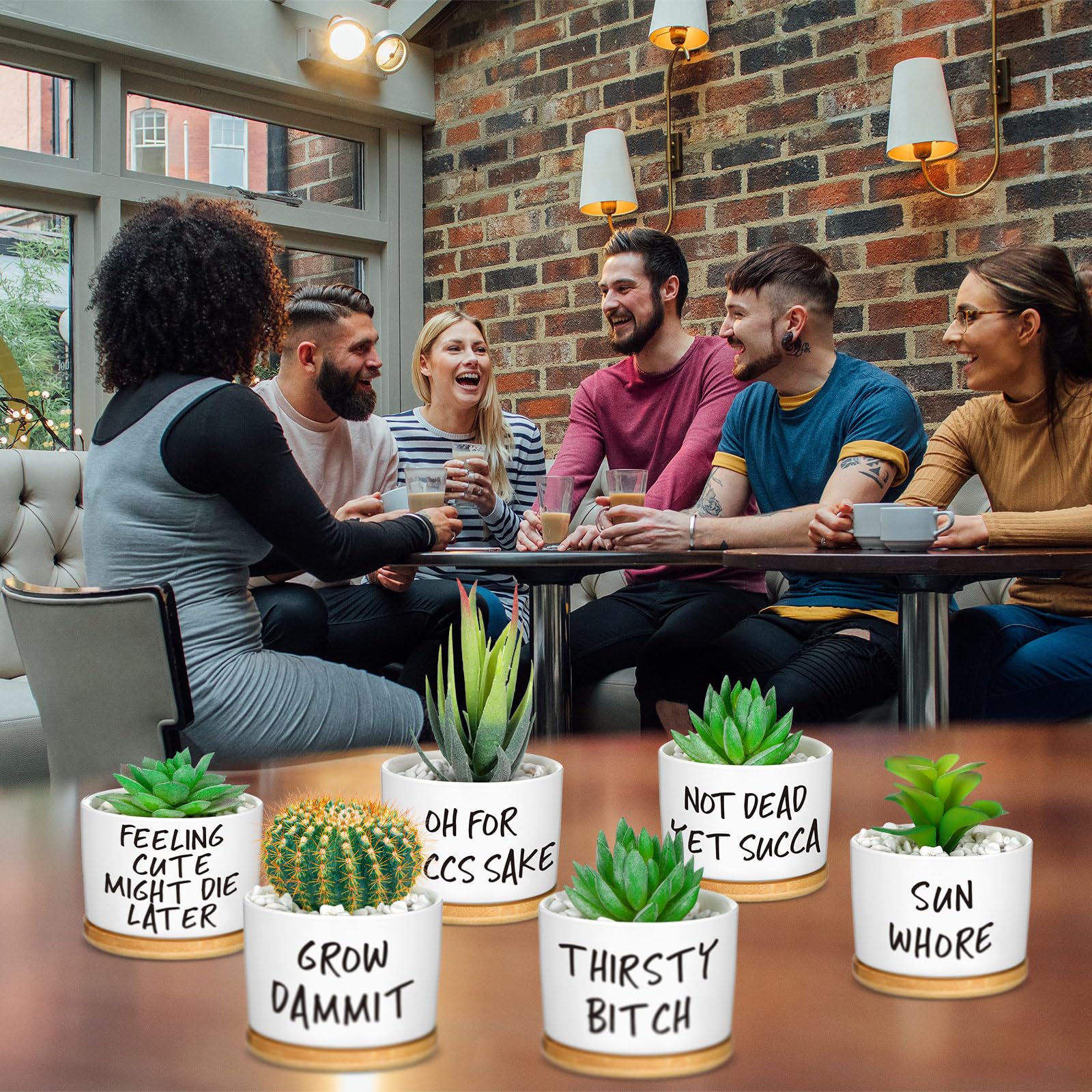 Domensi succulent pots on a desk as a cute decor focal point