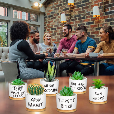 Domensi succulent pots on a desk as a cute decor focal point
