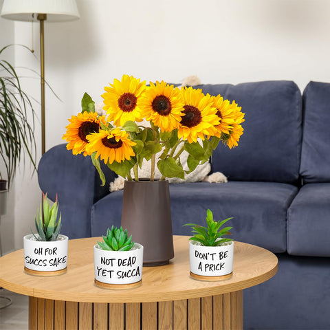 Domensi window sill display ideas with the pots and trays