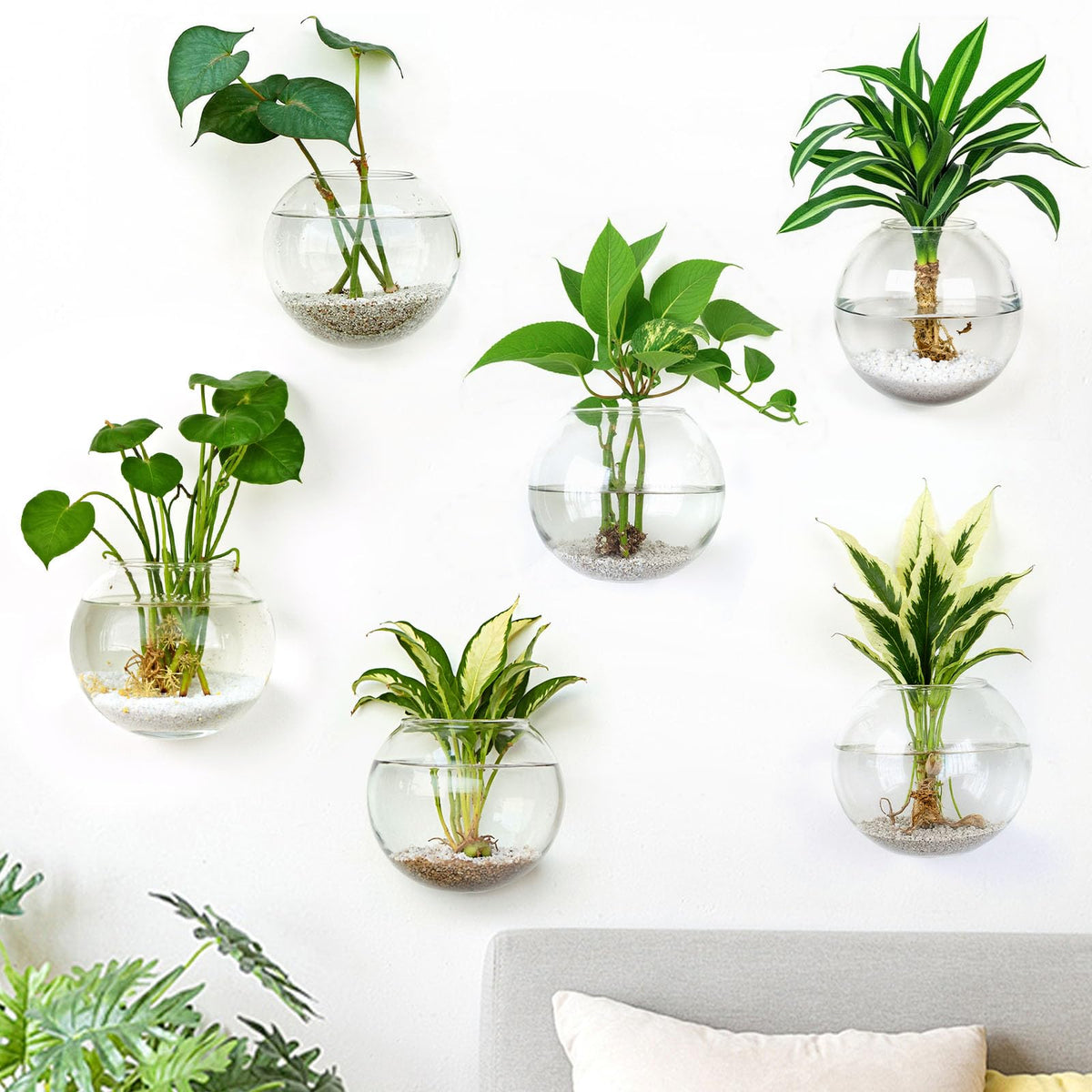 DomeStar 6PCS wall vases set arranged for stylish, space-saving home decor.