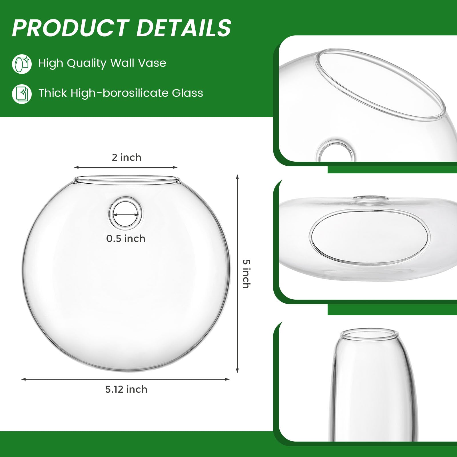DomeStar hanging glass planter showcased on a wall