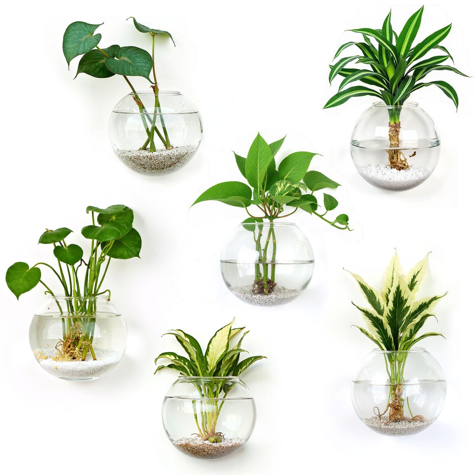 DomeStar home decor inspiration with airy glass vases for living spaces.