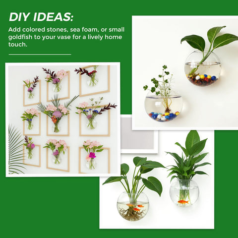DomeStar hydroponics-friendly vase ideal for compact spaces