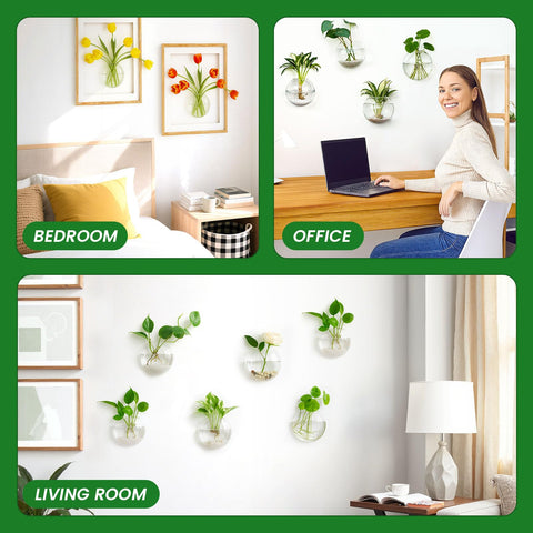DomeStar minimalist wall decor complements modern interiors