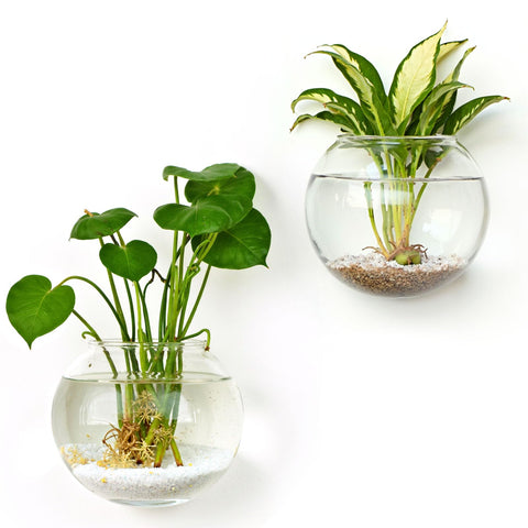 DomeStar office and living room decor enhances space