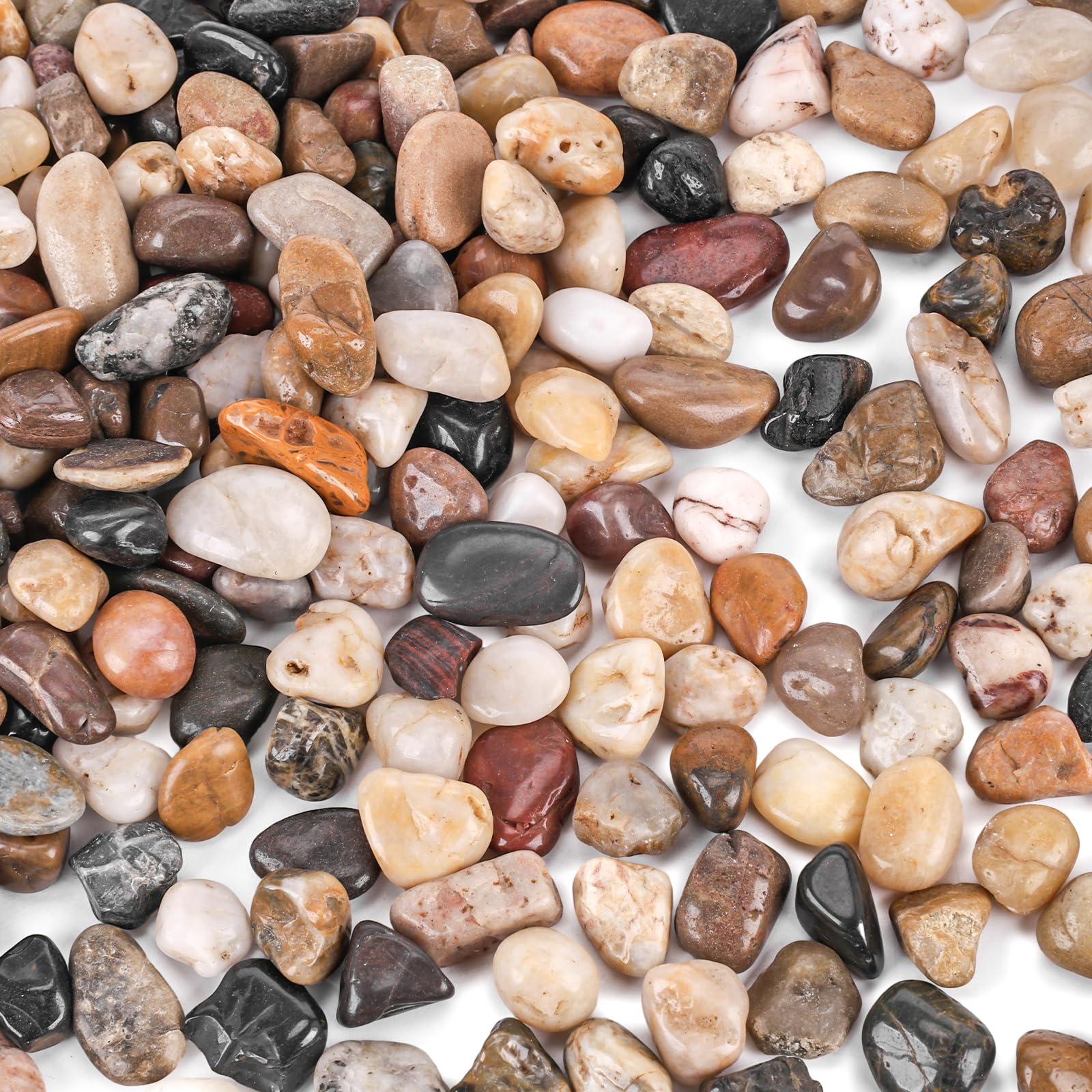 Domestar River Rocks 2lb package: natural polished gravel for decorative garden accents
