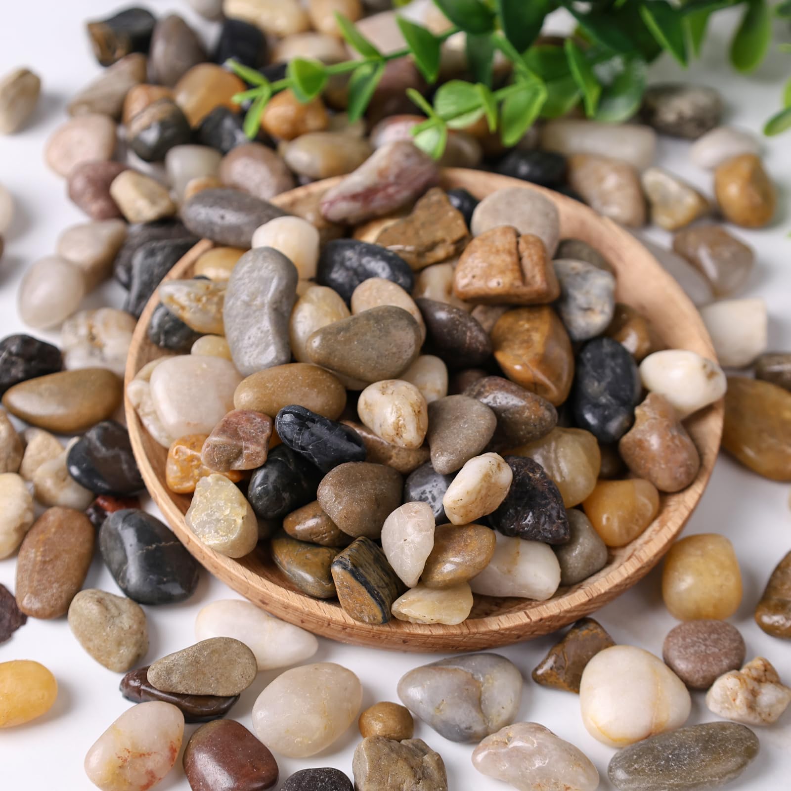 Domestar River Rocks plant top dressing for tidy soil surface and plant display.