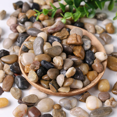 Domestar River Rocks plant top dressing for tidy soil surface and plant display.