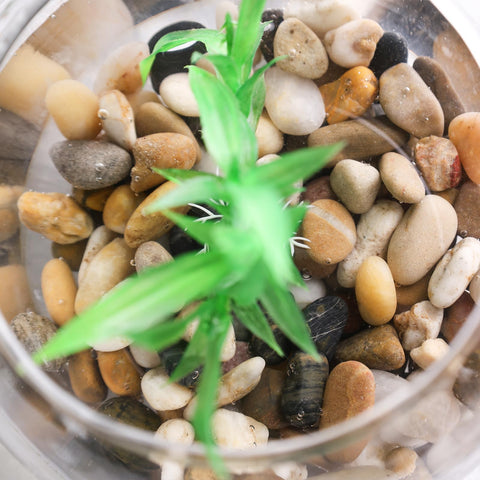 Domestar River Rocks smooth rounded edges for comfortable handling and neat displays.