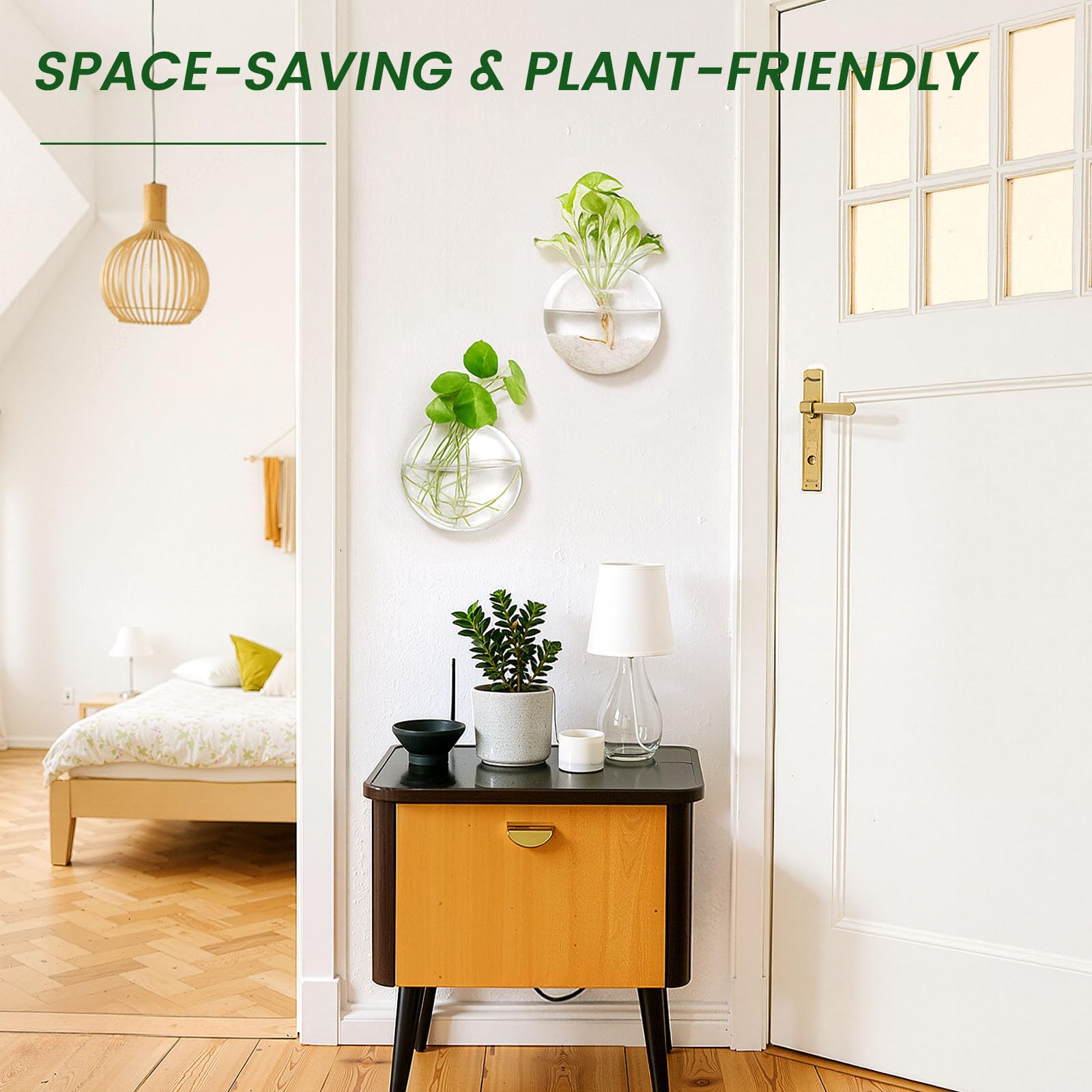 DomeStar traceless nail install protects walls and secures vases