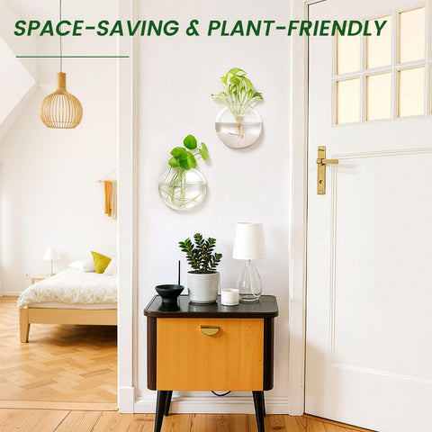 DomeStar traceless nail install protects walls and secures vases