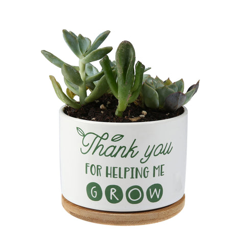 DOMG indoor-outdoor ceramic planter with bamboo saucer for versatile placement.
