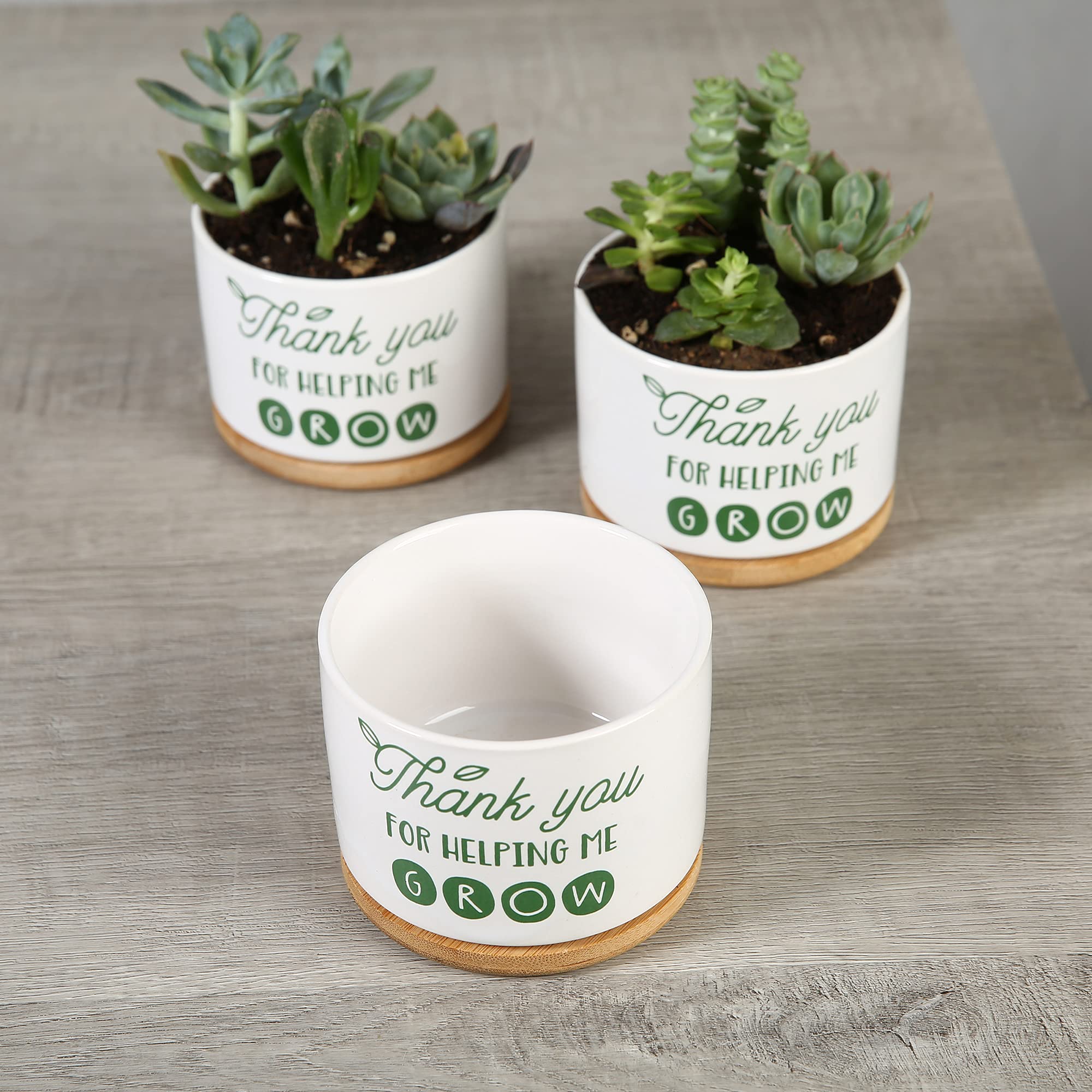 Thoughtful teacher gift blending practicality with heartfelt sentiment.