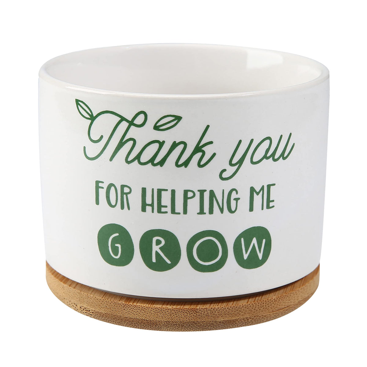 DOMG ceramic pot for teachers, perfect desk display of a succulent or small plant.