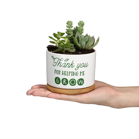 DOMG planter features 'Thank You For Helping Me Grow' design for gifting.