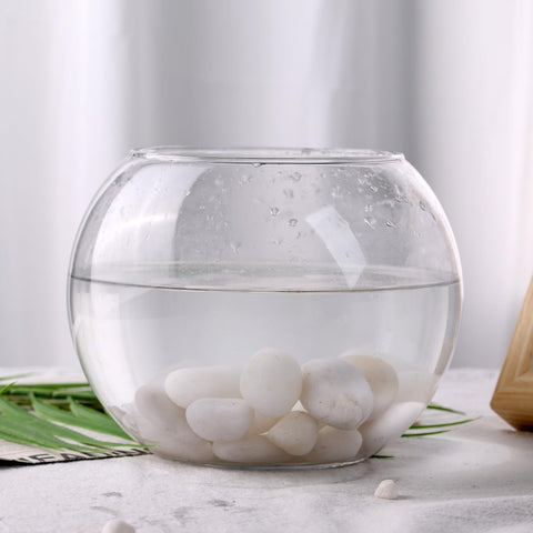 DomeStar white garden rocks for outdoor decor and garden landscaping