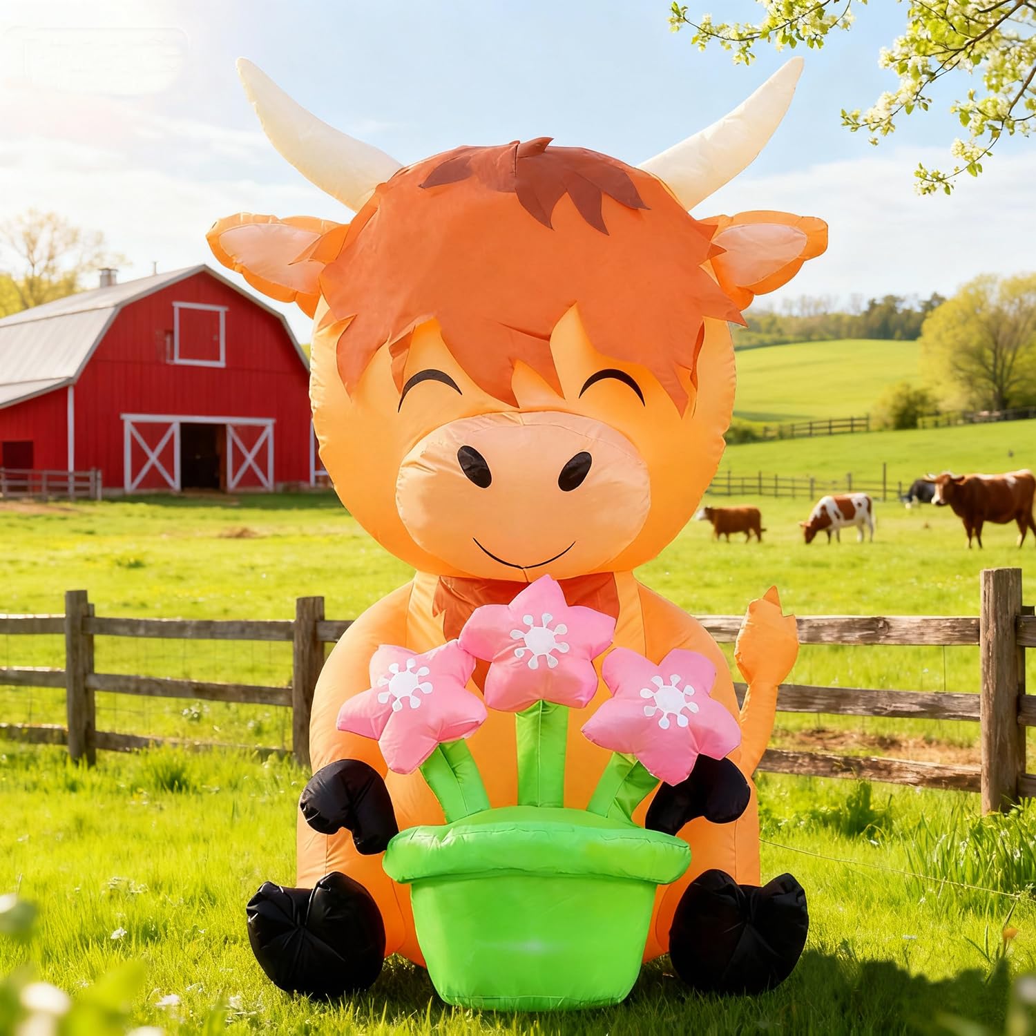 DomKom flower pots accents with the cow, adding colorful blooms.