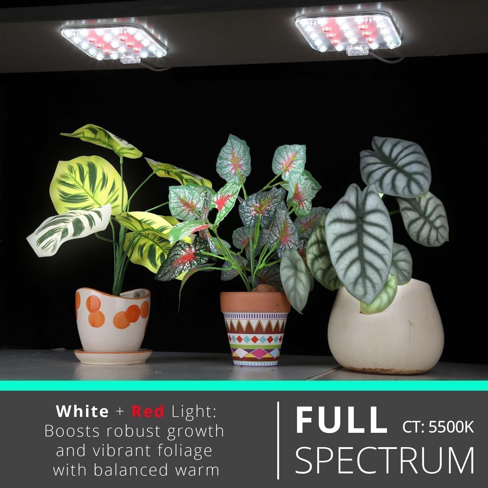 DOMMIA grow light with optical lens delivers focused coverage for leaves