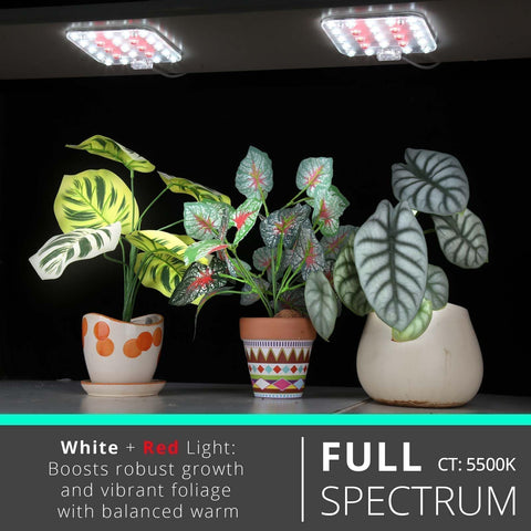 DOMMIA grow light with optical lens delivers focused coverage for leaves