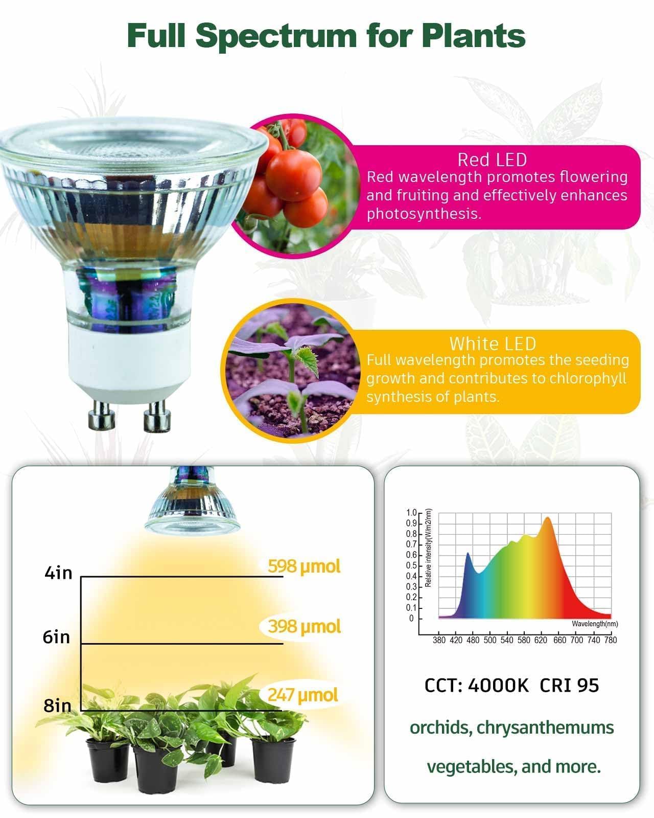 DOMMIA coated quartz glass increases light output and clarity.