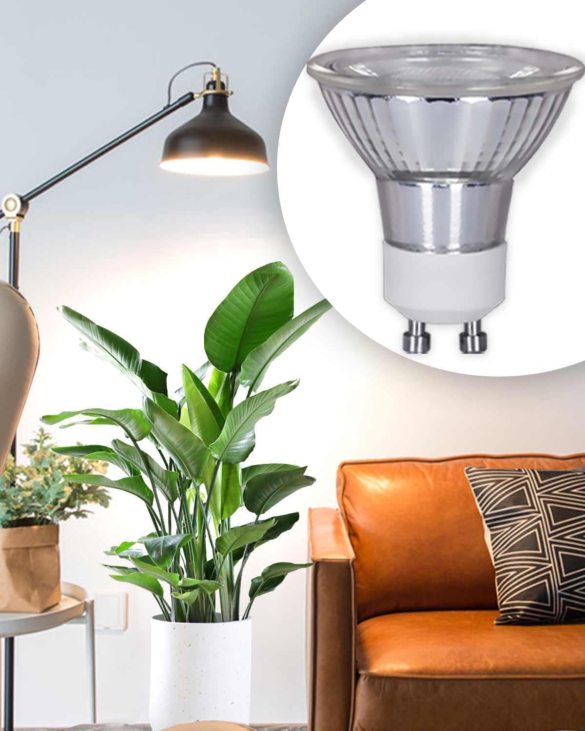 DOMMIA Grow Light shows full-spectrum PAR16 beam focused on plant canopy for growth.