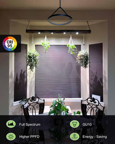 DOMMIA Grow Light lens emphasizes brightness for even plant illumination.