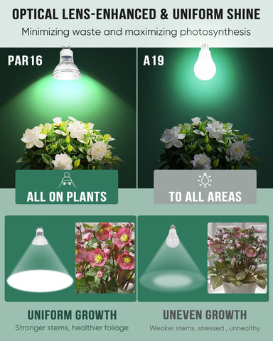 DOMMIA neutral white 4000K bulb with CRI 95 enhances foliage color fidelity.