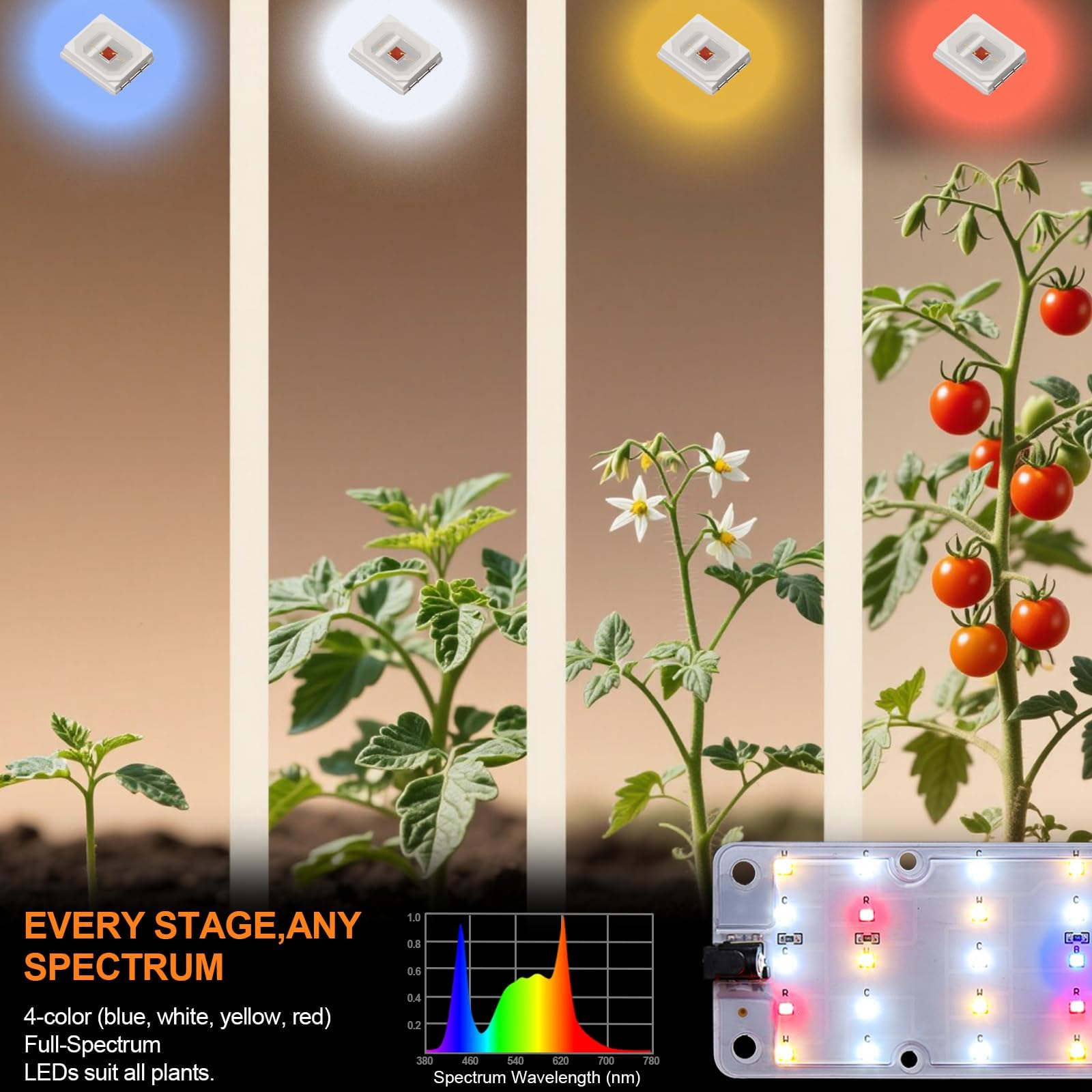 Ultra-thin design saves shelf space while guiding upward growth.