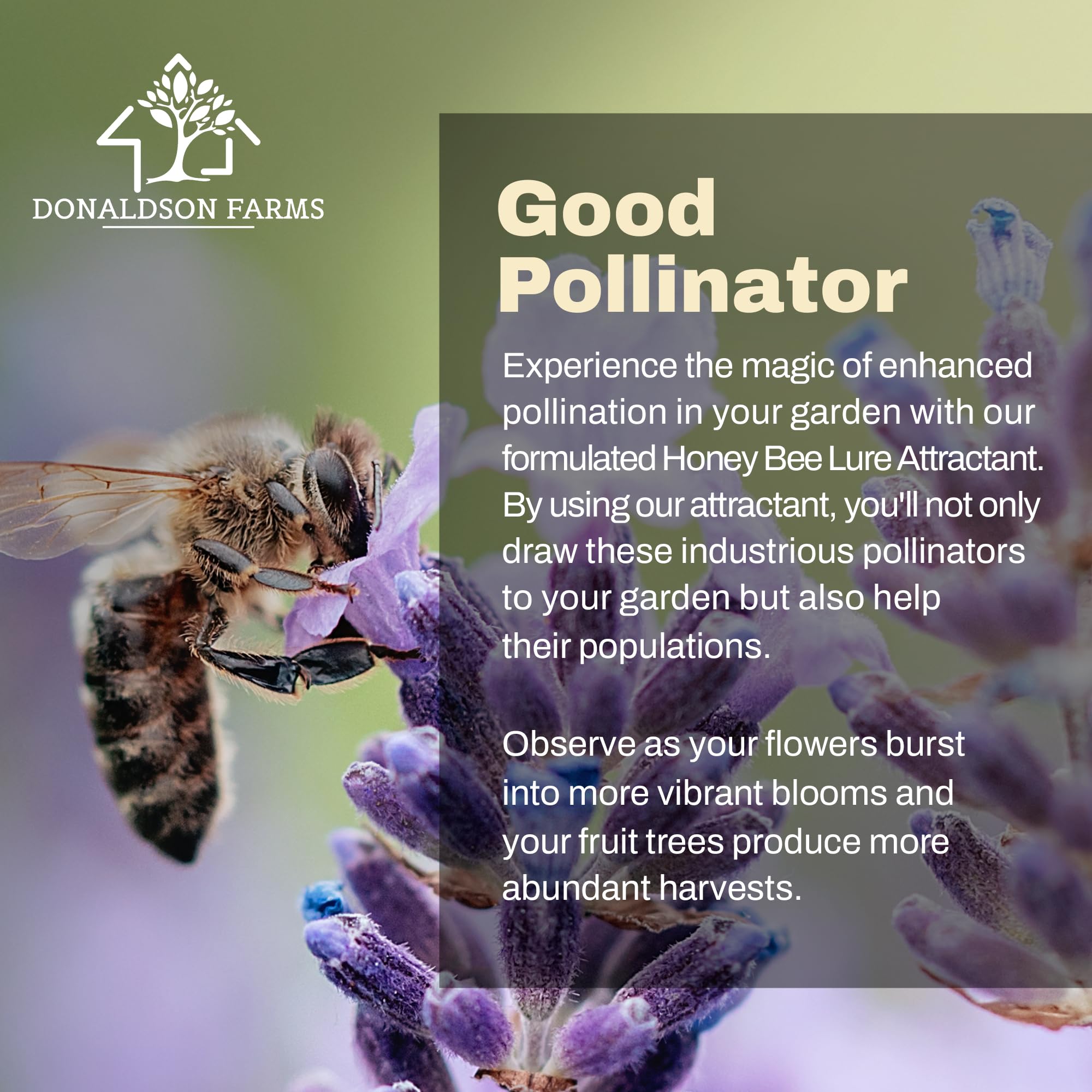 Donaldson Farms easy-application spray for quick, efficient hive support