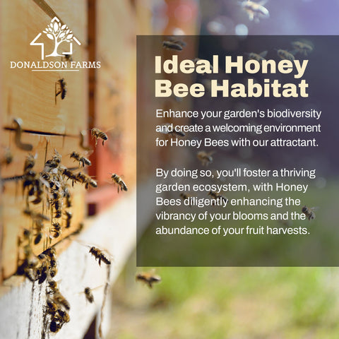 Donaldson Farms flower-fruit-tree hive setup invites pollinators to thrive