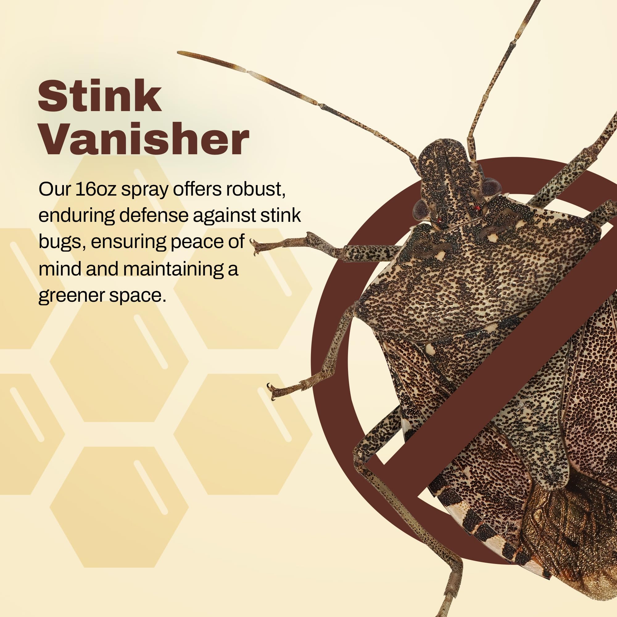 Donaldson Farms application spray action demonstrates direct targeting of pests.