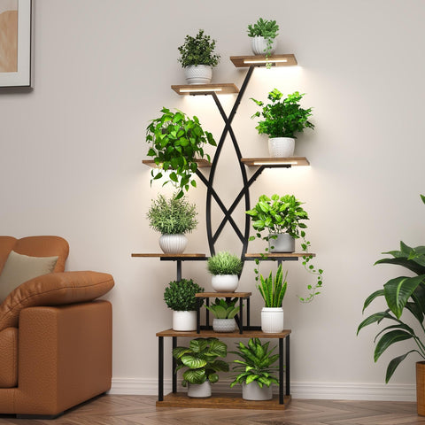 DongRong corner display elevates greenery while showcasing decor.