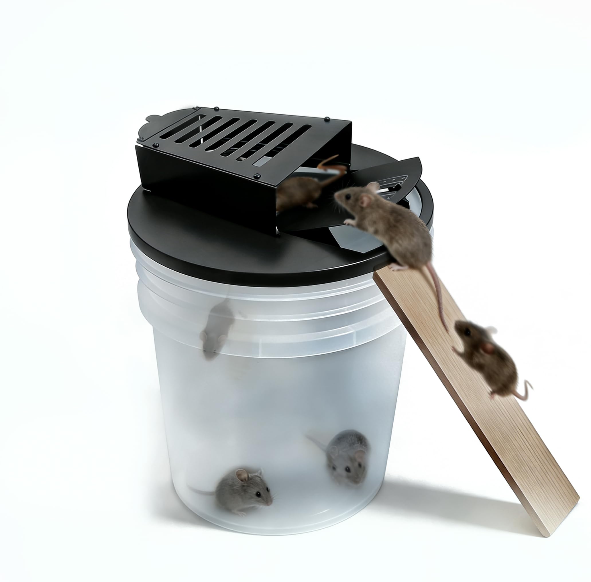 DONGWUZHIDAO bucket mouse trap lid secures a 5-gallon bucket for versatile use.